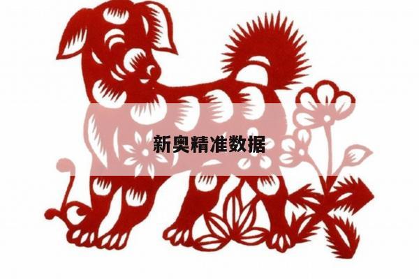 新奥精准数据/新奥大数据