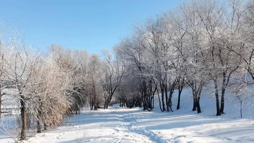 河南积雪深度超20cm;河南有常年积雪的山吗