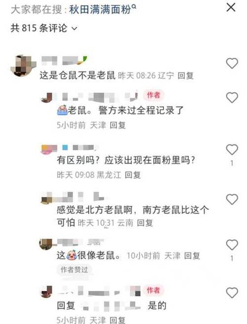 儿童面粉中吃出老鼠;儿童面粉中吃出老鼠怎么办