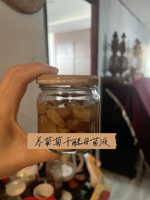 女生晒养了三年酵母,养几十年的酵母