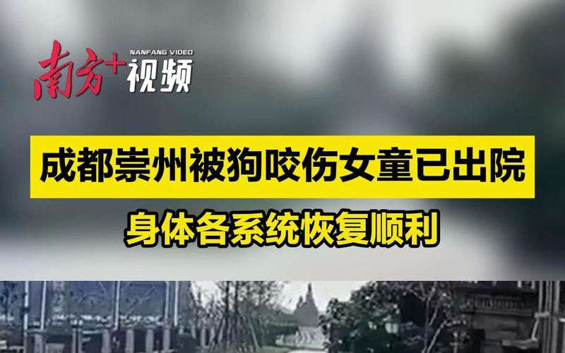 女童被狗扑咬受伤,女儿被小狗咬了没出血怎么办