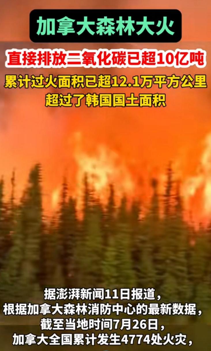 加拿大山火2人死亡,加拿大山火2人死亡原因