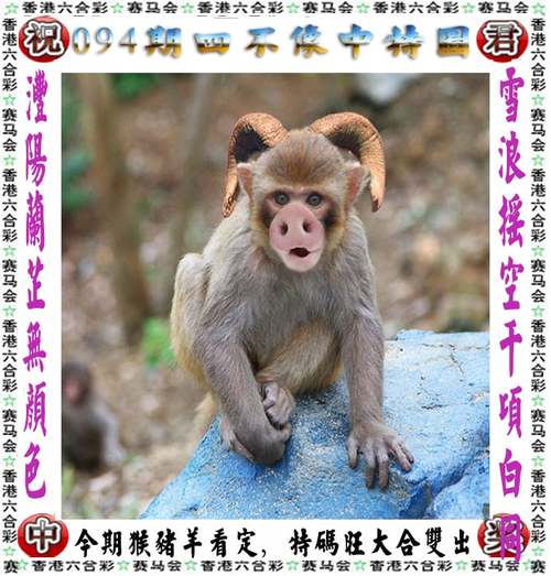 澳彩网内部资料大全:甘肃多地发生旱情