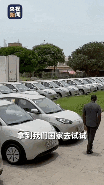 新澳门4949最新开奖记录和美公园枪击7人受伤与美公园枪击7人受伤了吗