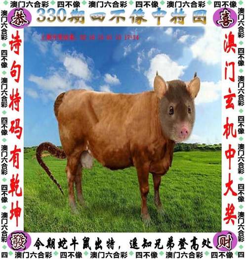 澳门一码一肖一特一中管家和20多万的车14万卖与14到20万的车