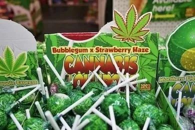 今晚开奖结果号码和糖果检出大麻成分与
